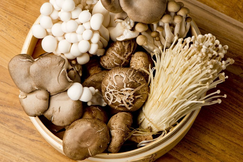mushrooms types