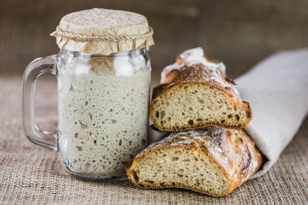 Sourdough starter