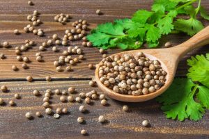 coriander seeds