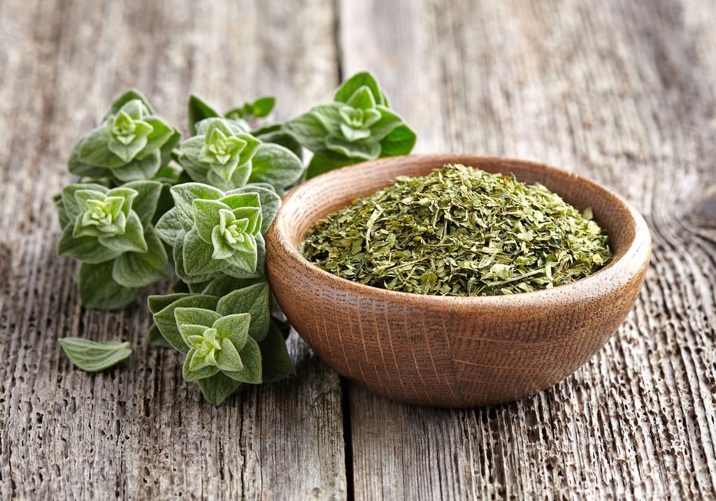 oregano