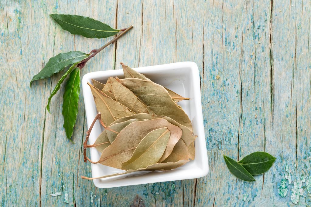 bay leaf