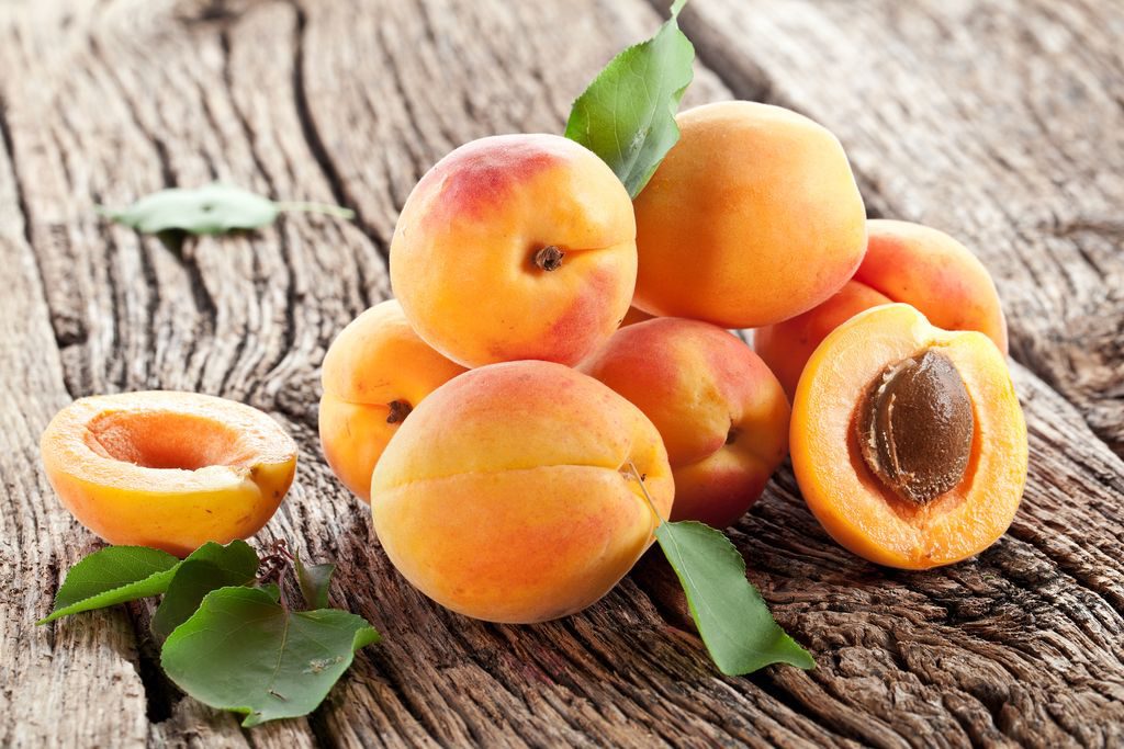 apricot