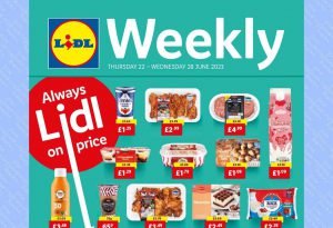 Lidl Weekly Offer from 22 to 28 June 2023