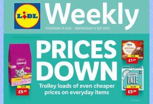 Lidl Weekly Offer from 31 August to 6 September 2023